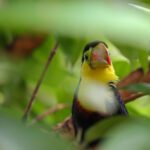 WhatsApp Image 2024-12-10 at 3.10.41 PM (1)