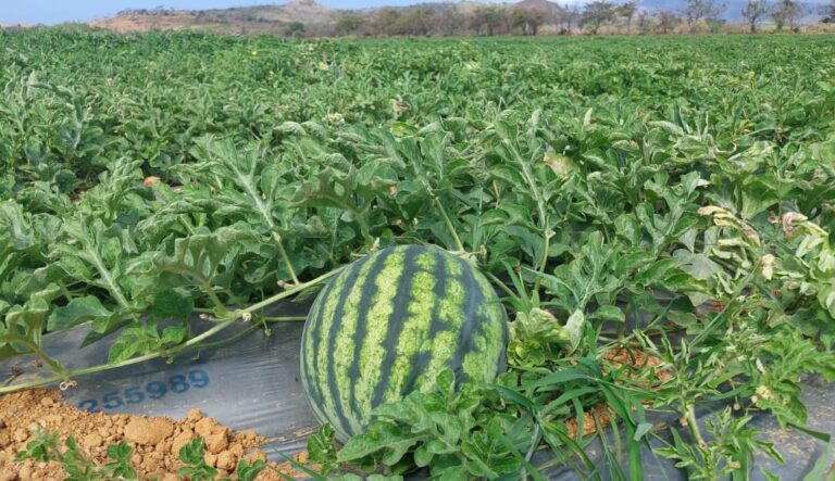 6206eb40-ad7d-468e-b9f5-8c58188deaeas