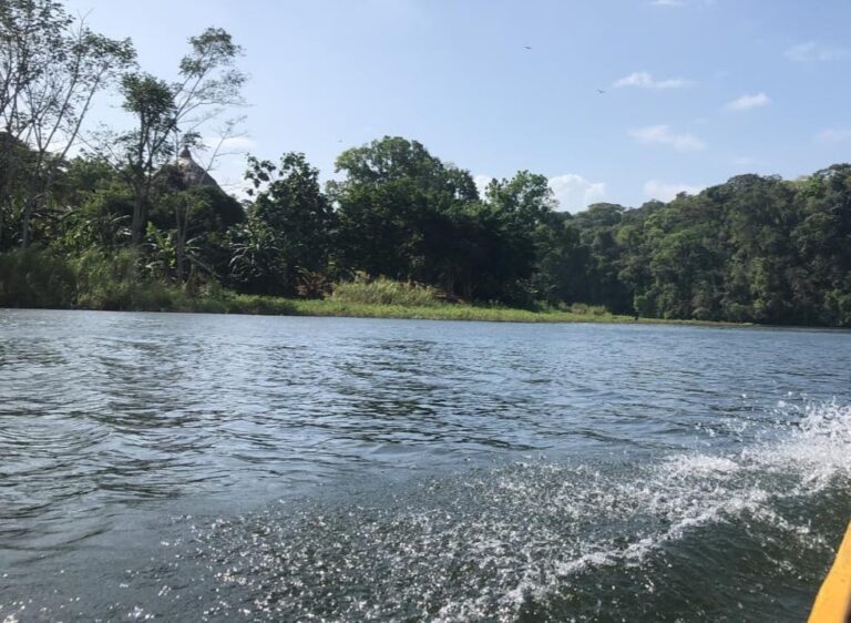 WhatsApp Image 2025-02-08 at 10.19.22 AM