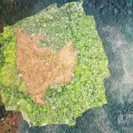 WhatsApp Image 2025-02-13 at 5.00.02 PM