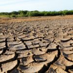 WhatsApp Image 2025-02-14 at 2.13.30 PM