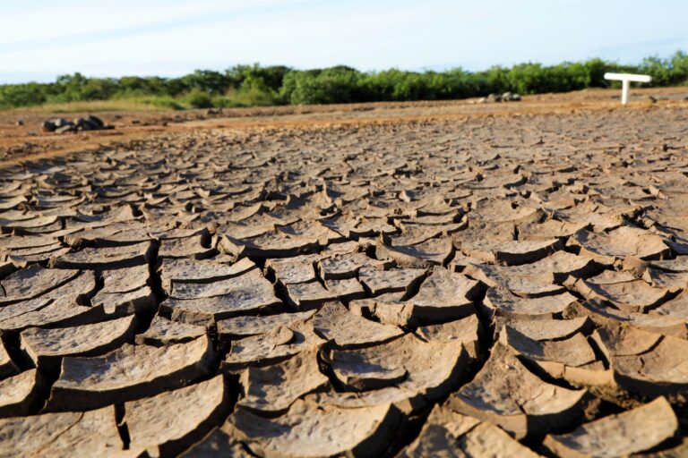 WhatsApp Image 2025-02-14 at 2.13.30 PM