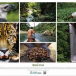 att.FdbemVqWyGGGTgo1iRMj6cH1LmfQGG9Q054gU2Nmb1w