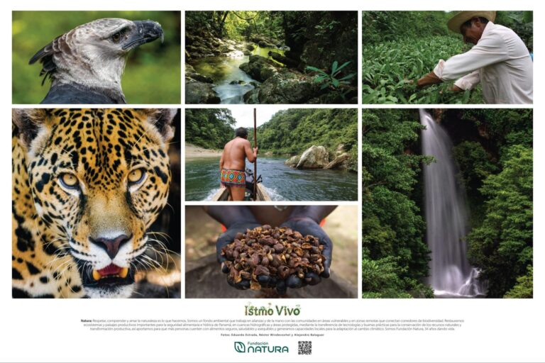 att.FdbemVqWyGGGTgo1iRMj6cH1LmfQGG9Q054gU2Nmb1w