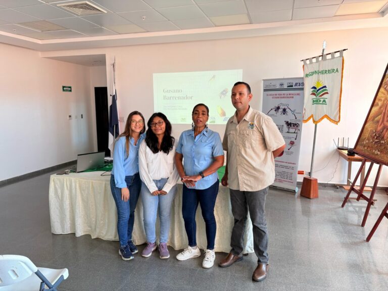 d3f45764-5c32-4158-93d9-33cbcb6cf446