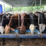 f6215a4b-c40f-4802-91b8-3516f31ecafa