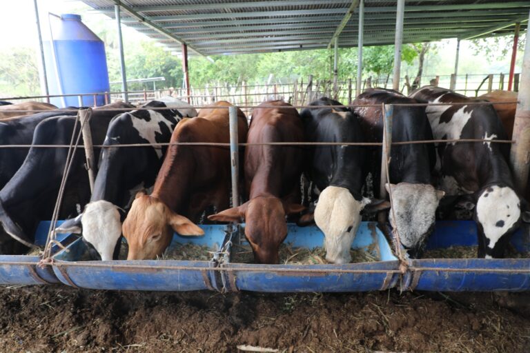 f6215a4b-c40f-4802-91b8-3516f31ecafa