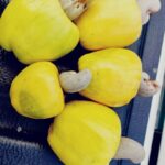 811dc108-f1dc-464a-9c76-3fcd94101109