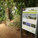 WhatsApp Image 2025-04-22 at 7.30.37 PM