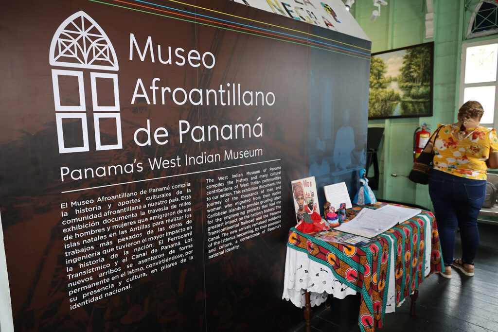 MUSEO 6