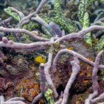 e25c2ffb-c45e-4969-b2d4-cf9e661dd756