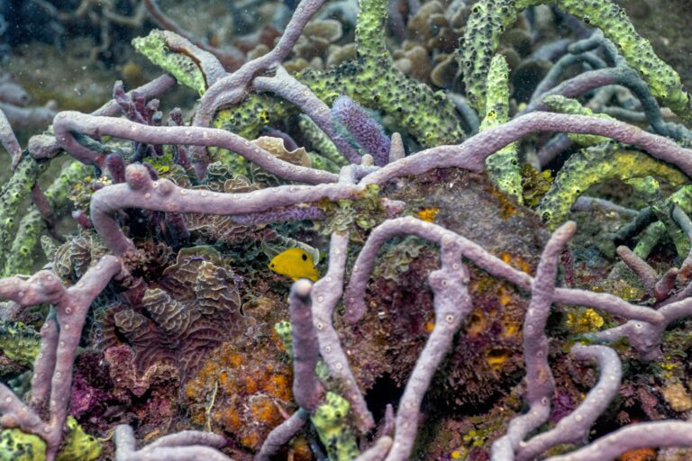 e25c2ffb-c45e-4969-b2d4-cf9e661dd756