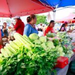 6c82d851-4a29-4b7d-b2bf-5a255ecb33d7