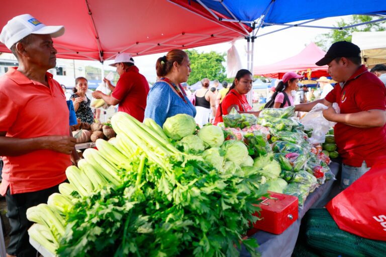 6c82d851-4a29-4b7d-b2bf-5a255ecb33d7