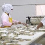 Camarón exportación