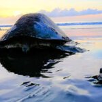 WhatsApp Image 2025-06-15 at 2.58.07 PM (1)