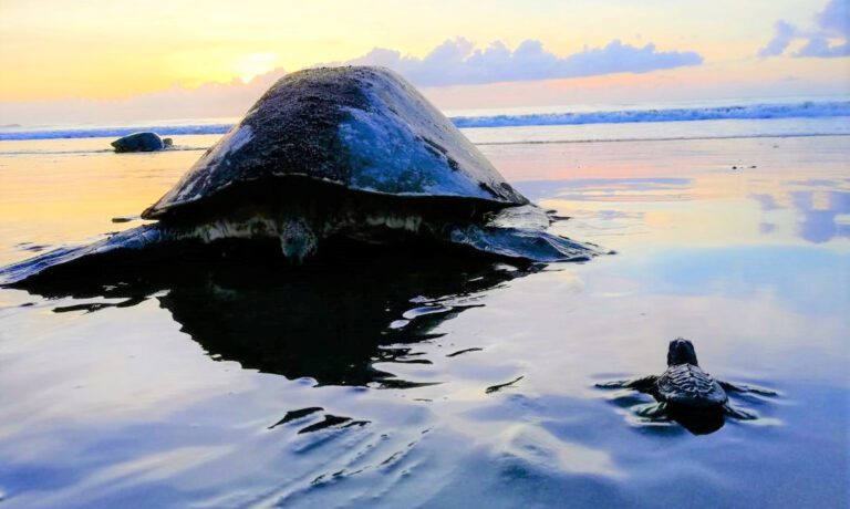 WhatsApp Image 2025-06-15 at 2.58.07 PM (1)