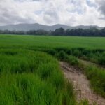 c75dd13e-132c-4290-847f-6440812962ba