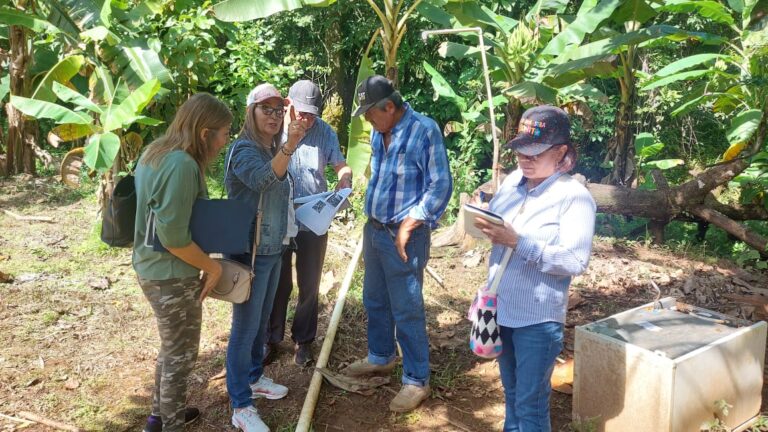 61b68eba-4f25-4526-a5b9-f97fd788b6df