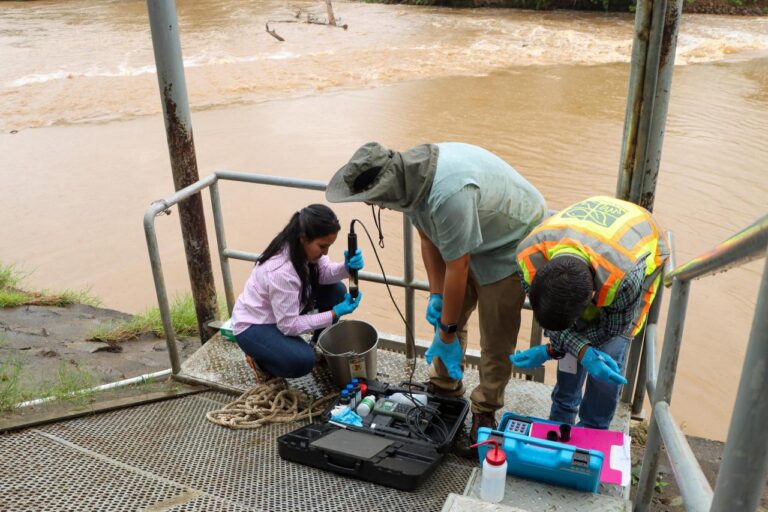 72053a54-caf8-453e-9952-c23632eb3be9