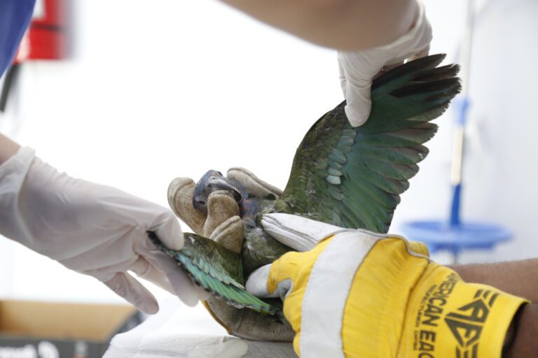 CLINICA VETERINARIAKJKJLK