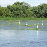 WhatsApp Image 2025-07-25 at 1.56.33 PM (1)