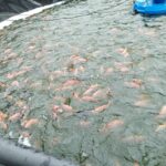 10105984-335a-4c6a-81c4-3251839fbd74