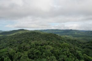 WhatsApp Image 2025-08-11 at 9.47.31 AM (1)