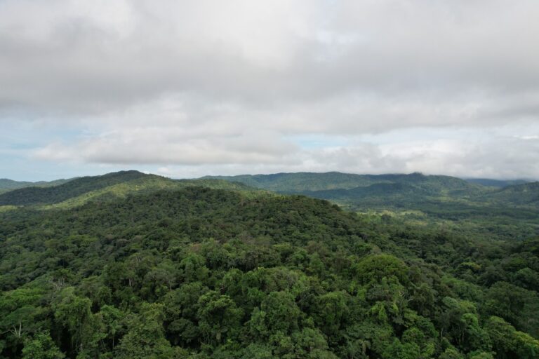 WhatsApp Image 2025-08-11 at 9.47.31 AM (1)