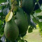 d581f9a0-217b-47fc-a2df-d5b245f13e7d