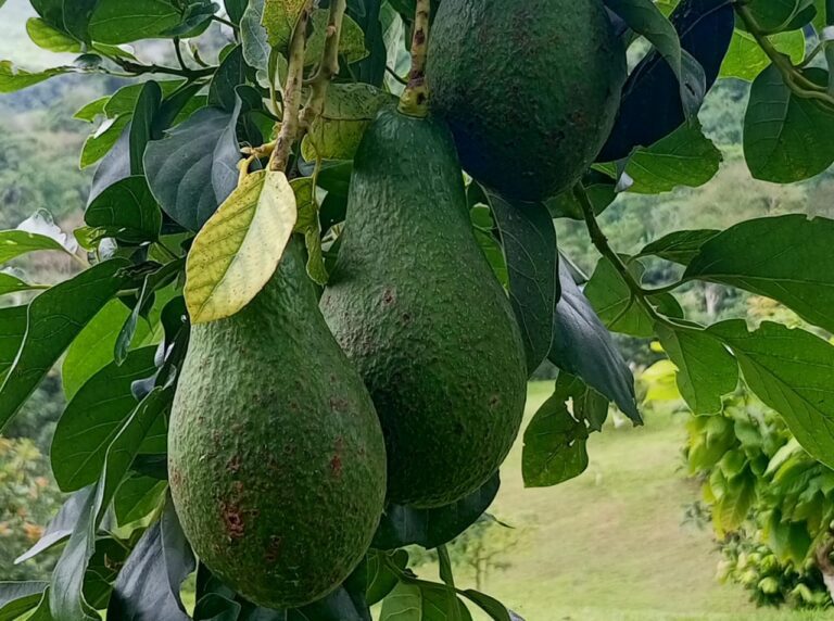 d581f9a0-217b-47fc-a2df-d5b245f13e7d