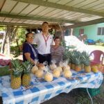 db8bf905-4565-42f1-898f-aa28b6a74270