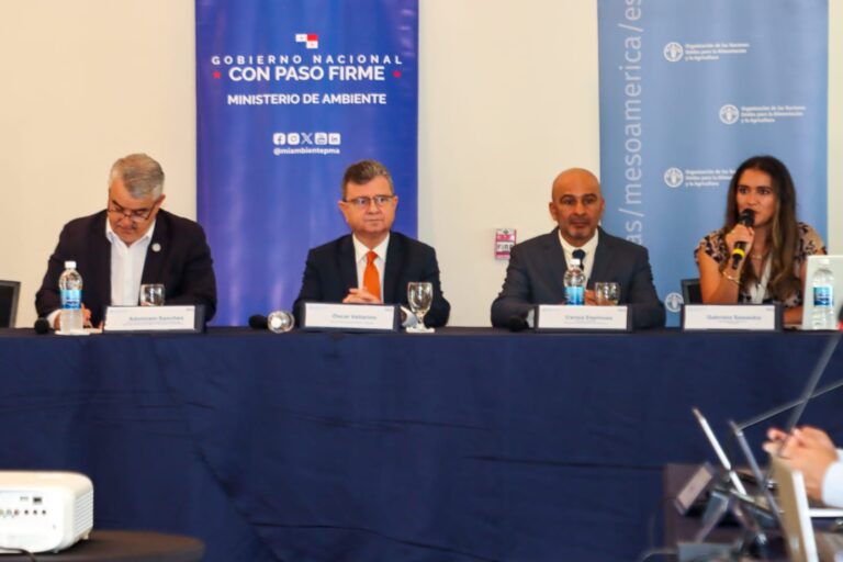 WhatsApp Image 2025-09-01 at 2.52.42 PM (1)