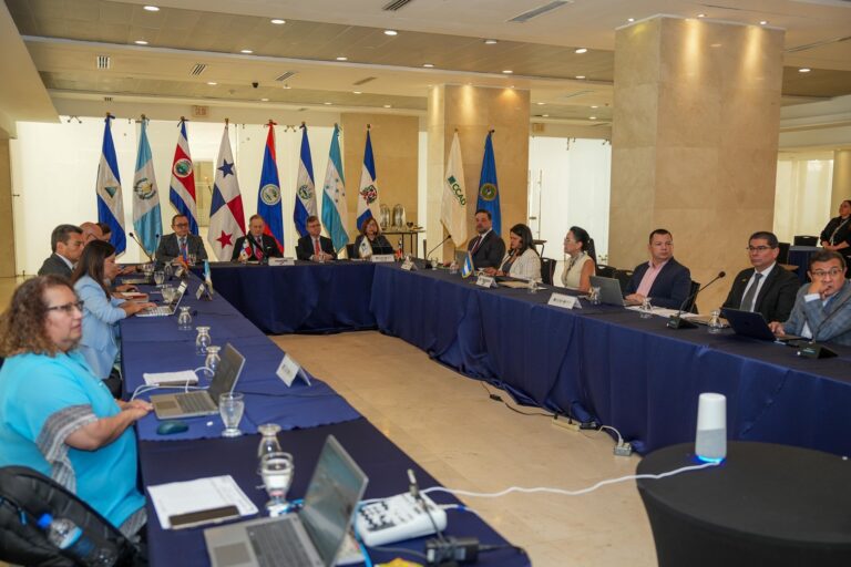 WhatsApp Image 2025-09-10 at 11.53.05 AM