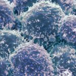 bc2bd547-ac40-45fe-b37c-b72a848348ed