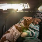 inDrive - movilidad pet friendly