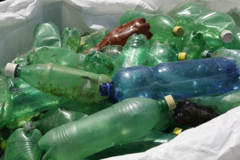 MiAMBIENTE-prohibe-el-uso-de-plasticos-y-foam-en-las-areas-protegidas-del-pais-a-partir-de-enero-de-2026898