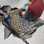 WhatsApp Image 2025-11-13 at 11.29.25 AM