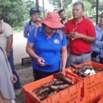 383516eb-b2ea-44be-ad24-ca99e49c200e