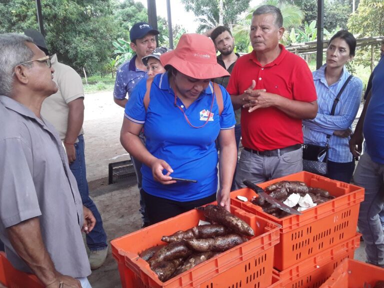 383516eb-b2ea-44be-ad24-ca99e49c200e