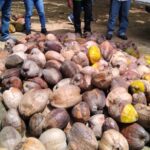 940c27ef-b4e1-4360-9ebd-0f626eea88dc