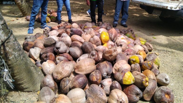 940c27ef-b4e1-4360-9ebd-0f626eea88dc