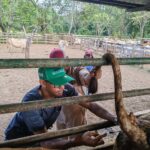 0432655a-6dae-461a-9cf7-2207311d0973