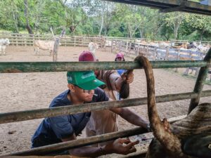 0432655a-6dae-461a-9cf7-2207311d0973