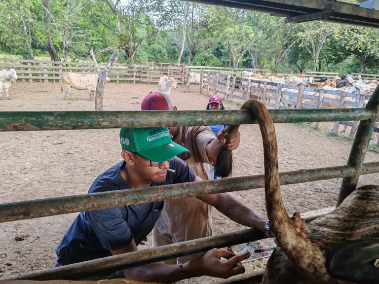 0432655a-6dae-461a-9cf7-2207311d0973