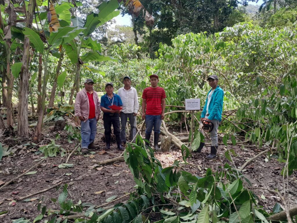 53753b13-9e47-46c7-8a0e-7eef421708ac