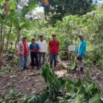 53753b13-9e47-46c7-8a0e-7eef421708ac