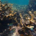 WhatsApp Image 2026-02-28 at 12.17.46 PM