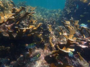 WhatsApp Image 2026-02-28 at 12.17.46 PM