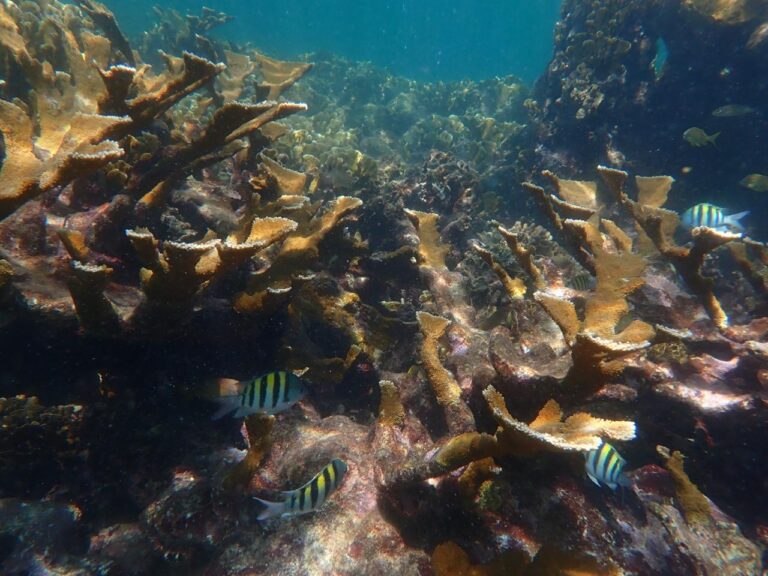 WhatsApp Image 2026-02-28 at 12.17.46 PM